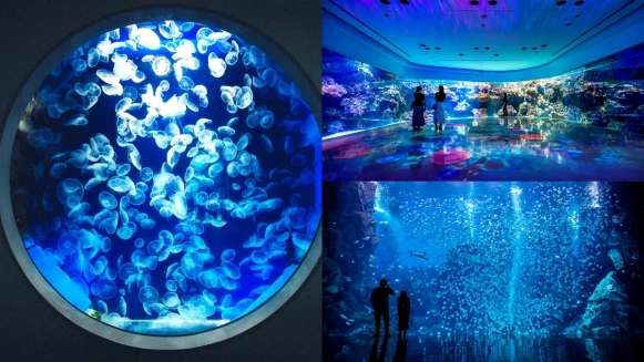 Xpark「七夕星光版」超適合情侶約會！月光照射浪漫滿分，加碼竹燈星空隧道美照拍不完