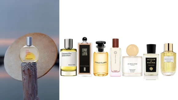 秋日的溫柔淡雅!桂花香水8款推薦,不張揚卻有著極高存在感