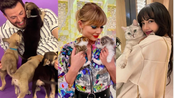 【玩咖初體驗】寵物溝通是騙人的嗎？飼主＆毛孩間真的有「粉紅熱線」？10個QA分享不藏私