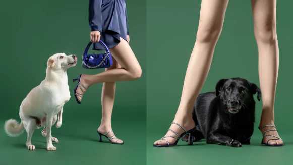 PEDRO x 浪浪詮釋佳節造型，零棄養、聖誕禮物盤點...可愛狗狗展現風格