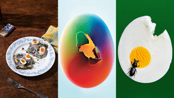 一切始於一顆蛋！6則蛋的小故事，美味的魔鬼蛋、安迪沃荷的蛋、女性主義的蛋⋯⋯
