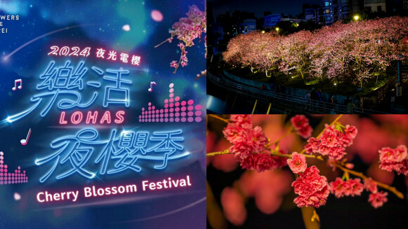 2024樂活夜櫻季成冬天約會推薦景點！3公里粉嫩步道超浪漫，開幕有全球百大DJ刷碟