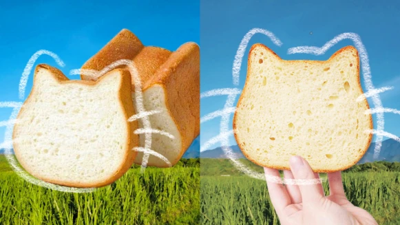 阿秀鮮乳 X NEKO NEKO SHOKUPAN攜手聯名，超軟Q「花蓮小農牛奶貓咪吐司」限定開賣