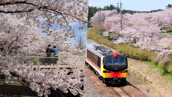 下一站 City+｜跟著在地人賞櫻去日本北秋田「白神地區」悠閒賞櫻秘所五選、深入日本東北文化之旅