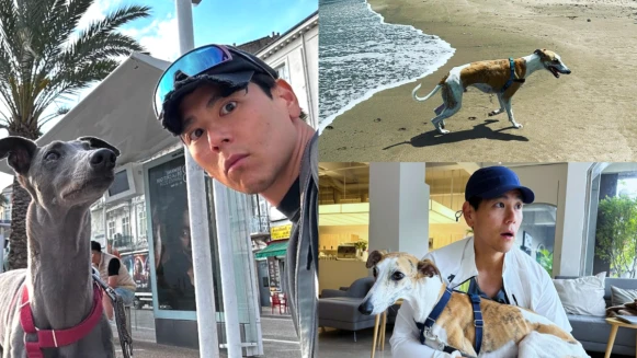 【大明星去哪玩】彭于晏私房景點都在這！領養3隻毛孩背後故事藏洋蔥