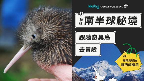 心理測驗/紐西蘭動物6選1,測最適合旅伴,你是海豚還是奇異鳥?