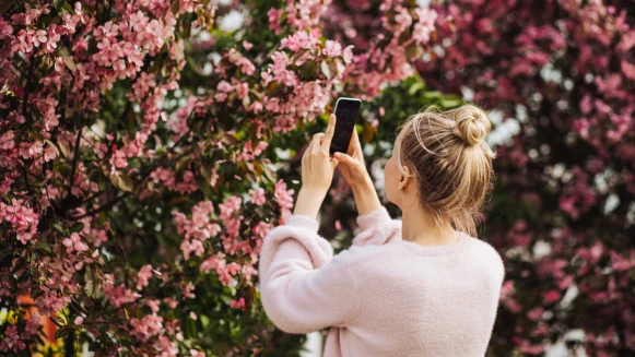 2025二十四節氣「驚蟄」春雷響！習俗＆禁忌一次看，吃毛豆祭白虎可趨吉避凶