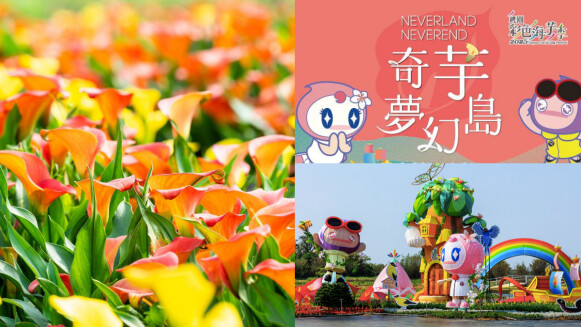 14萬株花海唯美綻放！2025桃園彩色海芋季限時9天，巨型迷宮、親子活動玩翻