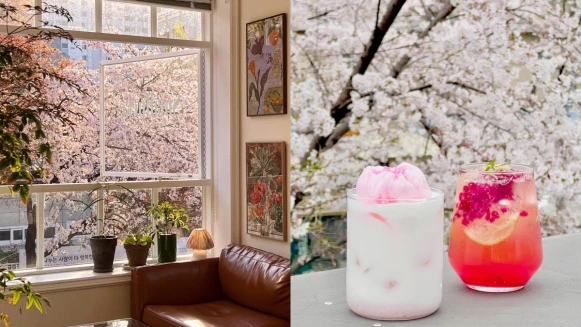 【Julia韓國觀察筆記】春天必去！首爾櫻花景咖啡廳8選