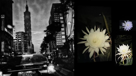 北美館「時代劇場」攝影展集結杉本博司、森山大道、石內都等作 看見當代影像的可能性