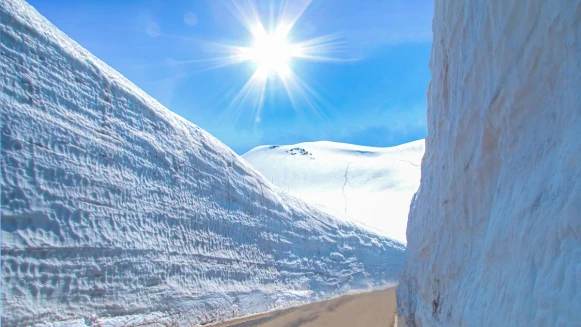 2025立山黑部開山！雪之大谷絕景、交通攻略、必看亮點一次掌握