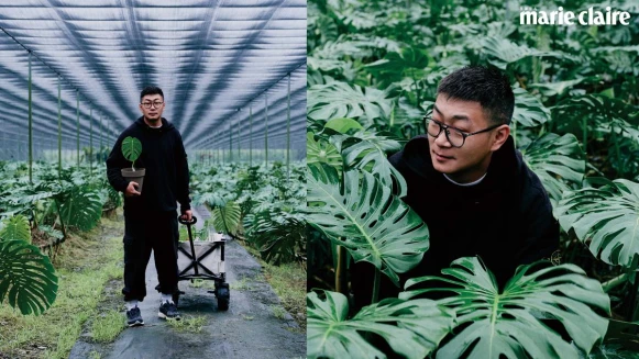 青農們的田園交響曲｜龜背芋與她們的產地，羅鈞瀚：「一切的開始，我們都得彎下腰低下頭，種下種子。」