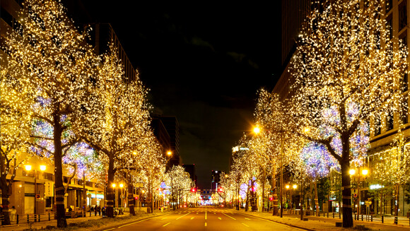 2025大阪光之饗宴提前點燈！御堂筋、中之島、大阪世博光雕搶先看