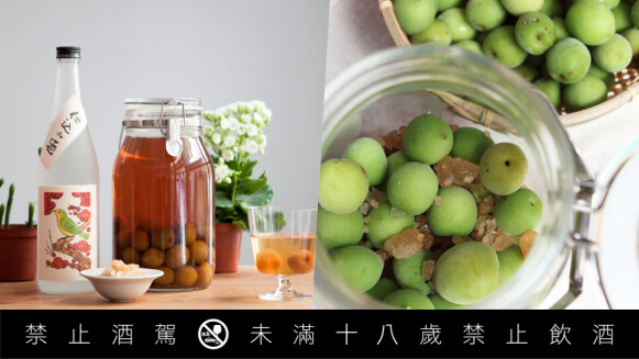 梅酒季節來到，生活需要一點儀式感，動手釀瓶屬於自己的梅酒吧！