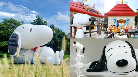史努比75週年特輯！全球7大療癒系SNOOPY景點：博物館、主題房一次滿足