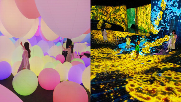 teamLab高雄展攻略！6大亮點作品與門票地點資訊，暑假限定親子奇幻體驗