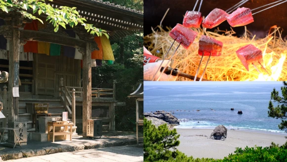 慢旅新選擇！麗星郵輪航向日本高知，探索6大必訪景點，享受四國秘境療癒時光