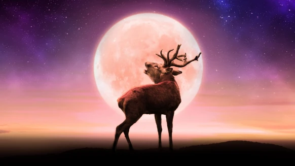 2025雄鹿滿月7月登場！夏日限定紅色月亮、台灣觀賞時間與成因大解析