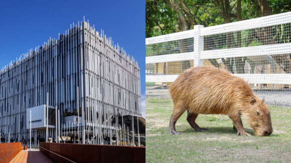 2025新北景點懶人包！海上伸展台、珊瑚貝殼廟超好拍，還藏有水天一色秘境