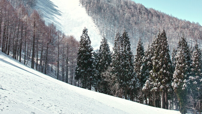 2026日本新潟滑雪場推薦！越後湯澤、妙高8大易達滑雪聖地