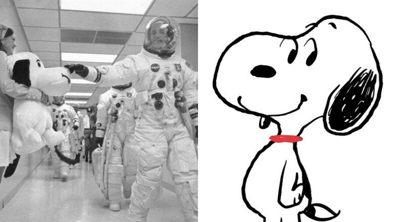 關於史努比Snoopy的11件事,《花生漫畫》中不平凡的小獵犬,NASA的吉祥物