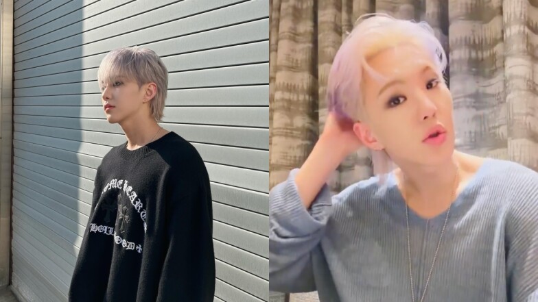 SEVENTEEN HOSHI親揭男偶像居家洗髮tips!調整洗潤髮步驟,定型液髮膠輕鬆洗乾淨