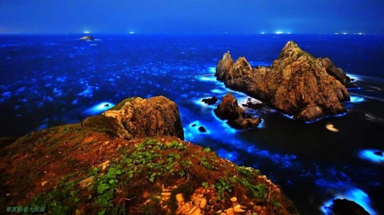 此生必看「馬祖藍眼淚」現正大爆發！整片藍色螢光海宛如仙境，最佳觀賞時間地點公開