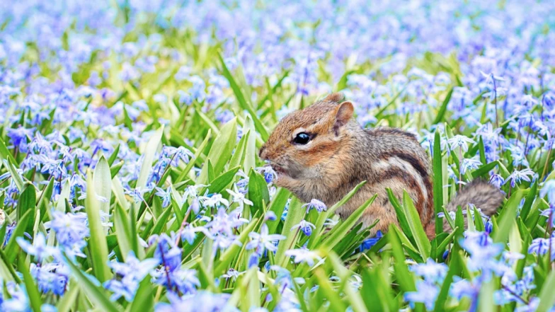 2024春分到！習俗、開運、養生法，求好運「立蛋、放風箏」，留心3禁忌傷元氣