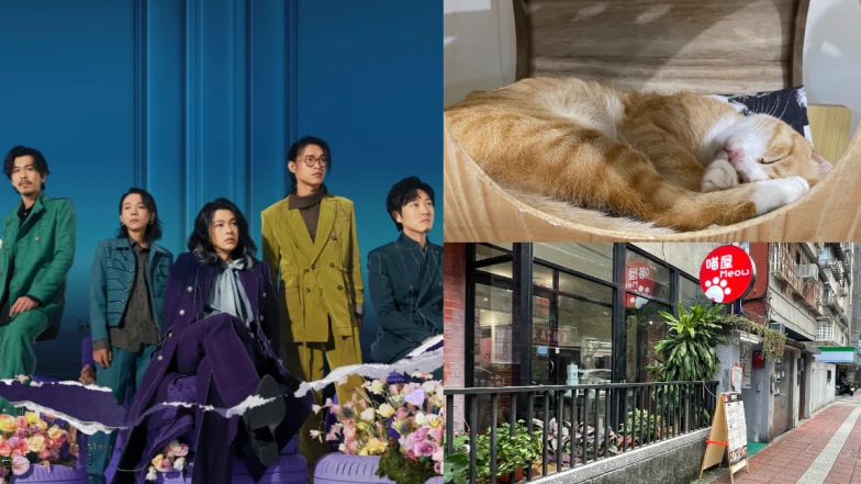 寵物咖啡廳推薦｜金曲樂團「麋先生」的鐵漢柔情，「喵屋Meow輕食餐廳」讓你盡情吸貓