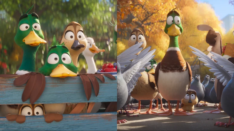 小小兵團隊最新力作,《飛鴨向前衝》小鴨鴨逃離舒適圈的偉大冒險