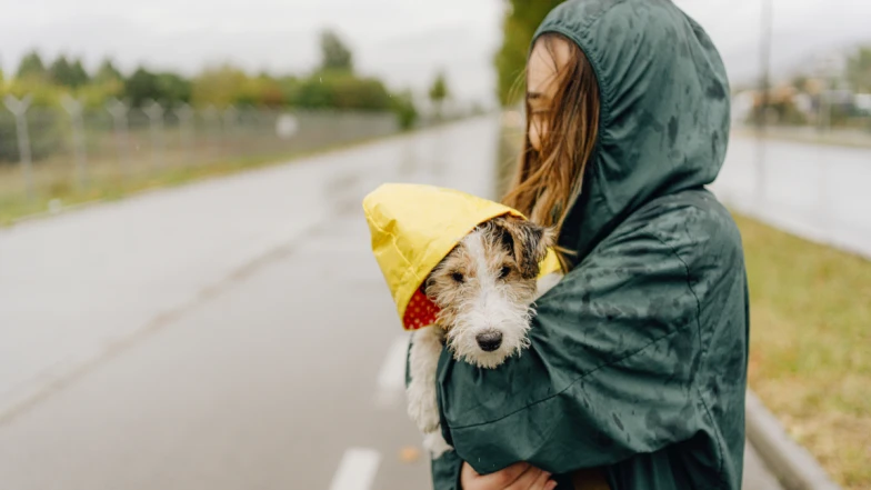 超神準占卜｜你的毛孩對目前生活滿意嗎？快來了解牠的想法