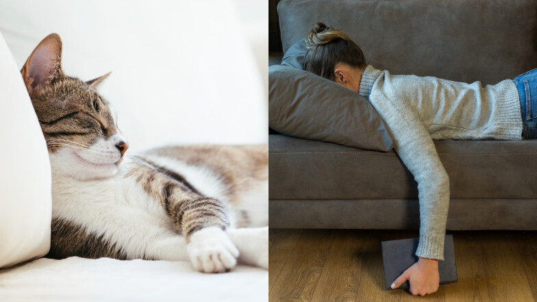 總是徹夜輾轉難眠？醫師教睡前6招助眠儀式，不靠藥物也能安穩入睡