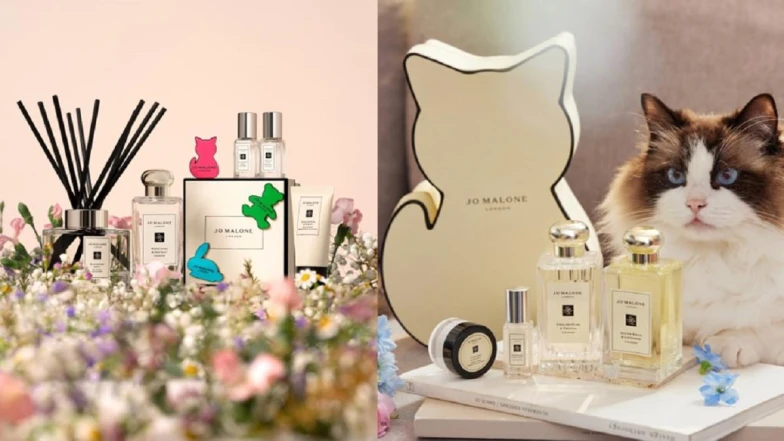 絕對要手速搶！Jo Malone London 太可愛的熊熊＆貓咪禮盒＆周邊～限量登場！送人超Q零失誤，搭配M編推薦不挑人的五款必收香氣，趁母親節優惠組一起買最划算～