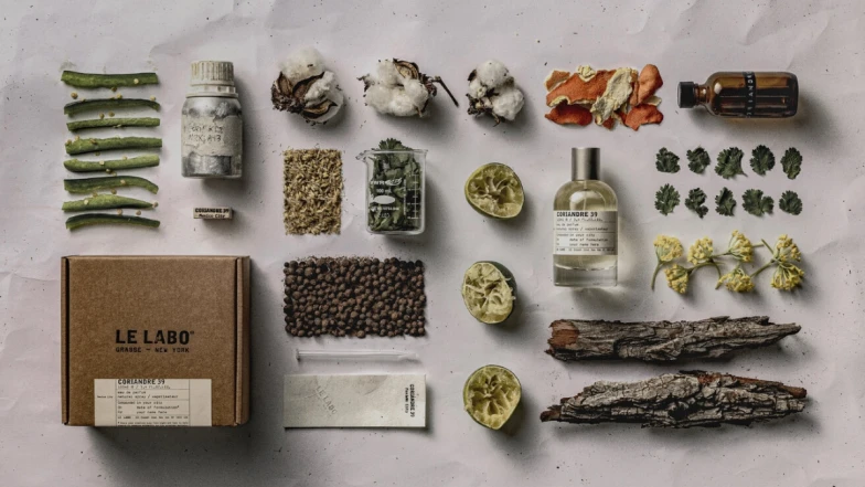 LE LABO 2024城市香水墨西哥竟然以「香菜」為主角!芫荽39限時9月在台灣買得到