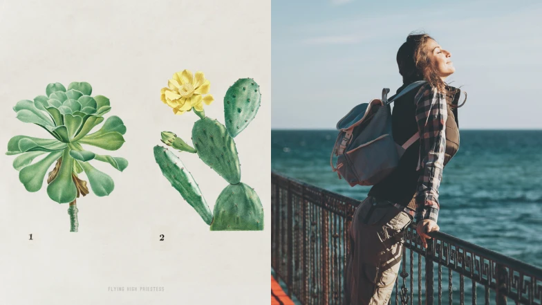 心理測驗／來看看你近期的「能量提醒」，有望升遷、生意成交或是放長假