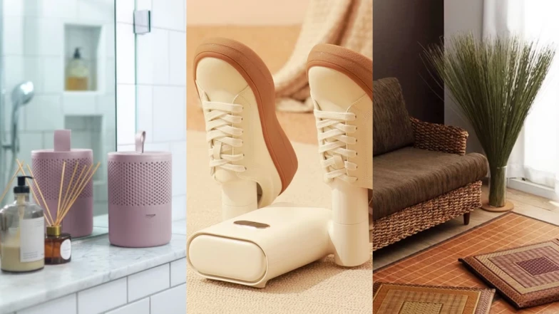 熱帶低氣壓雨下全台！6大「居家除濕小物」推薦，室內防潮超有效