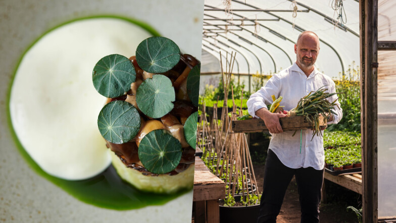 英國三星名廚旗下綠星餐廳「Roganic Hong Kong」快閃台北,10/3~11/11 將帶來「從農場到餐桌」的永續饗宴