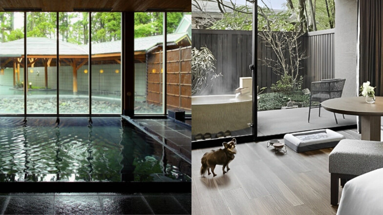 2025箱根溫泉旅行必看!10家豪華溫泉飯店、私人豐呂湯屋大公開