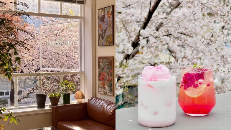 【Julia韓國觀察筆記】春天必去！首爾櫻花景咖啡廳8選