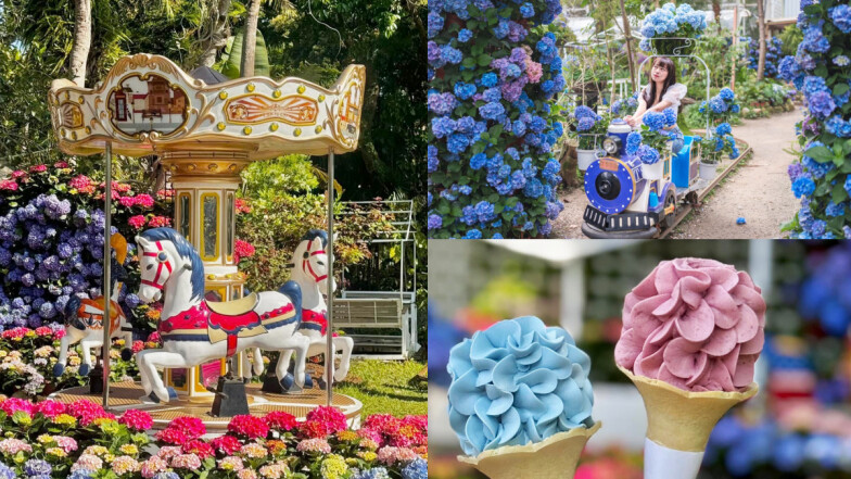 「繡球花旋轉木馬」進駐花露農場！6萬朵花海、雲霄飛車、花淇淋限時三個月登場