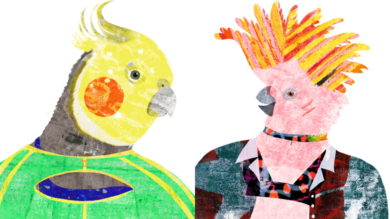 【星星教授安格斯 4/14-4/20 星座運勢】牡羊當心遭人眼紅，雙子需注重社交界線