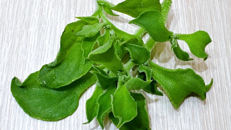 ｢冰花｣—蔬菜界洋芋片 妳嚐過了嗎？對女生的9大好處：可以防止脫髮、還能保養婦科，吃起來！