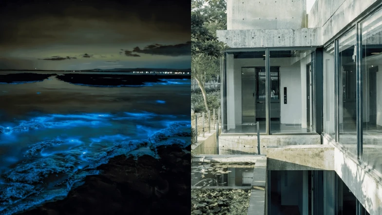 馬祖藍眼淚自由行!熱門季節、觀賞祕境、住宿推薦,開啟夏日療癒離島度假模式