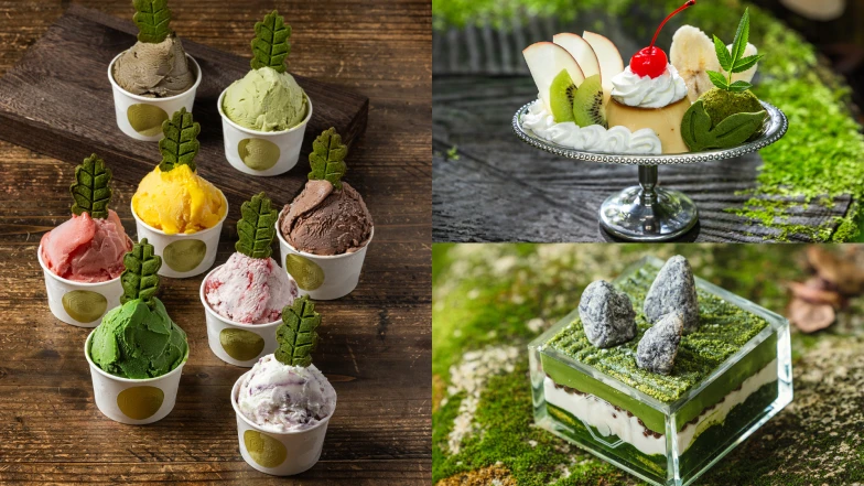 都市裡的森林系茶屋！「箱庭 山本屋」5大亮點，從甜點到空間打造全感官日式侘寂美學