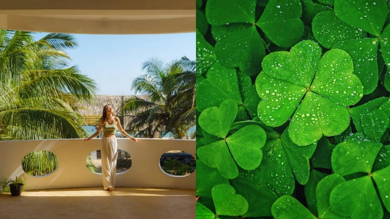 心理測驗｜充滿變動的時代，你擁有什麼樣吸引貴人的體質？