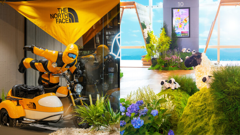 走進雲端牧羊園！台北101觀景台夏季限定《清境之美》療癒登場