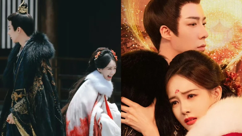 《書卷一夢》線上看6大看點！打不死的女主李一桐V.S一心想刀人的男主劉宇寧，網友只求愛情保安盾哥不要再BE