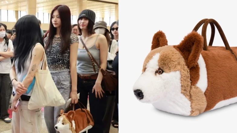 周子瑜機場拎的「柯基包」是哪一牌？還有這幾款動物手袋也都超可愛！
