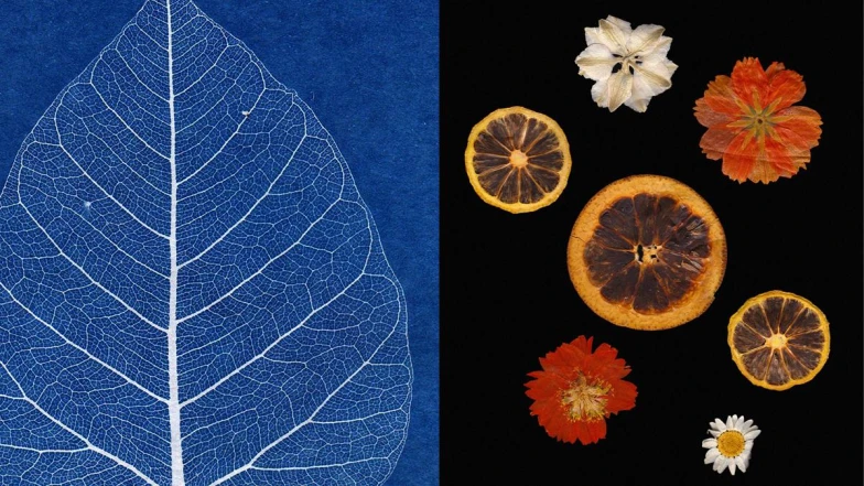 心理測驗｜大自然圖騰5選1 測測你近期的身心狀態與提醒