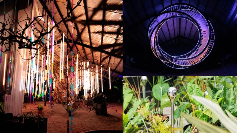 泊人ANKR×自然圈農場《SensWave 波感溫室》8月苗栗登場 讓自然與藝術調頻身心靈